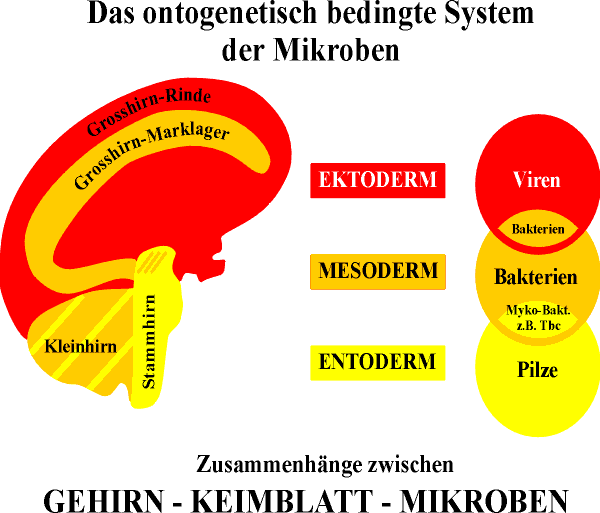 Germanische Heilkunde Tabelle Pdf Downloadl